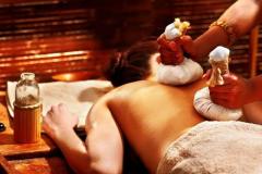 ayurveda7